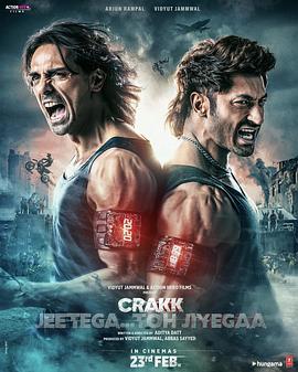 生死极限封面图